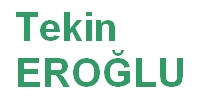 Tekin EROĞLU