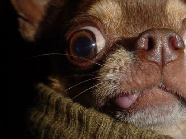 Haftanın En Çok Tıklanan Fotoğrafları 1