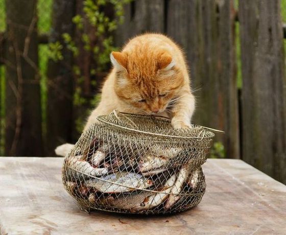 Haftanın En Çok Tıklanan Fotoğrafları 19