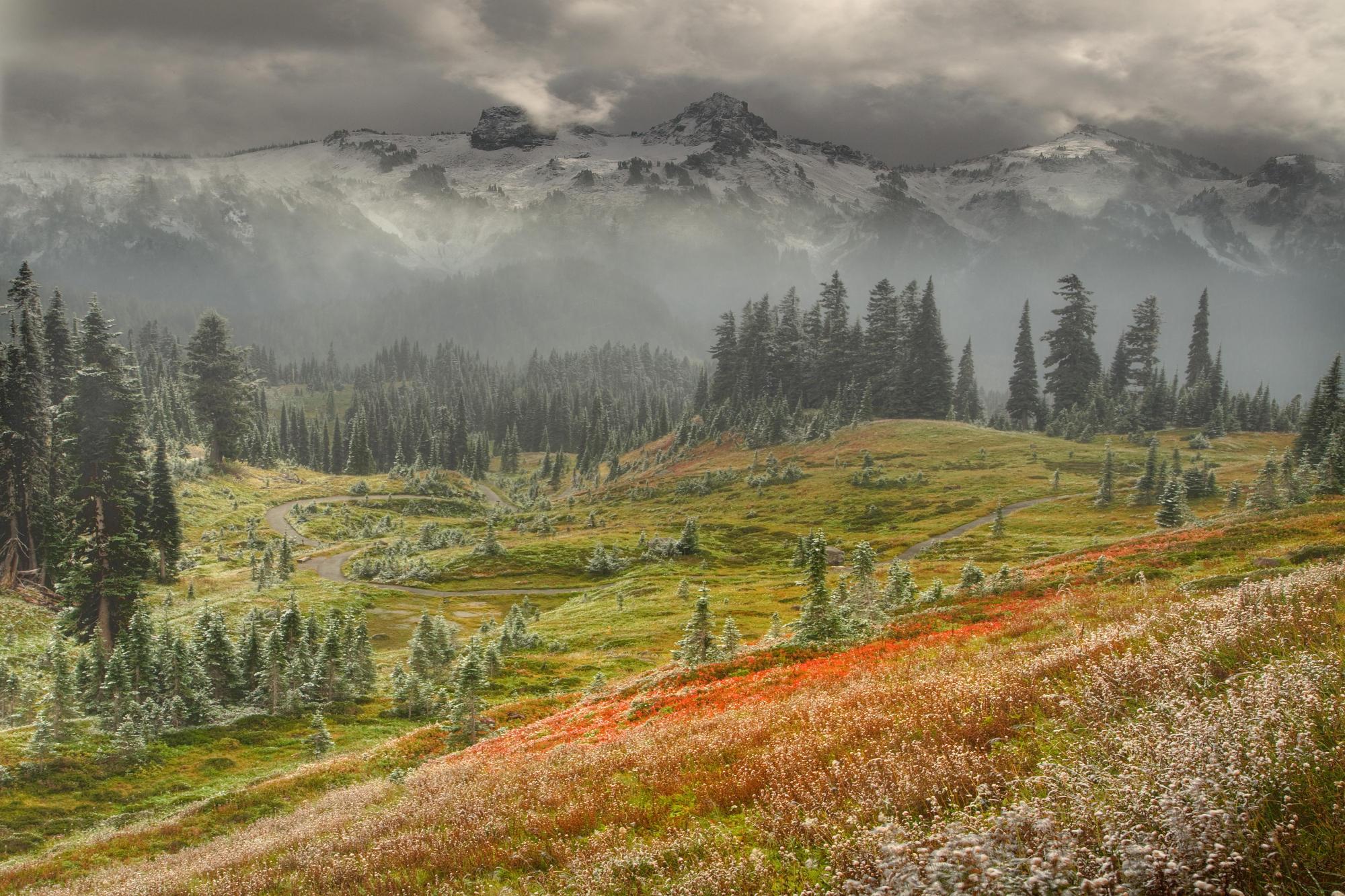 MUHTEŞEM GALERİ-1 11