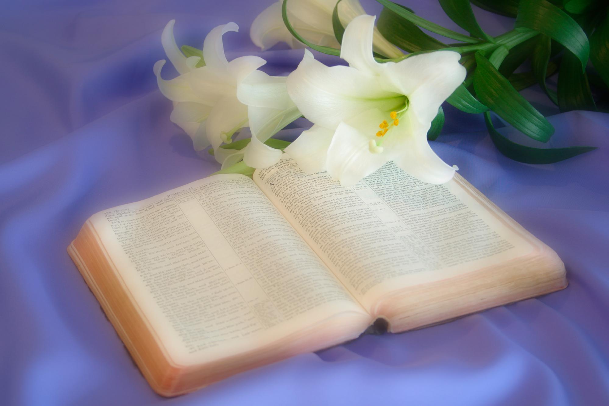 MUHTEŞEM GALERİ-1 12