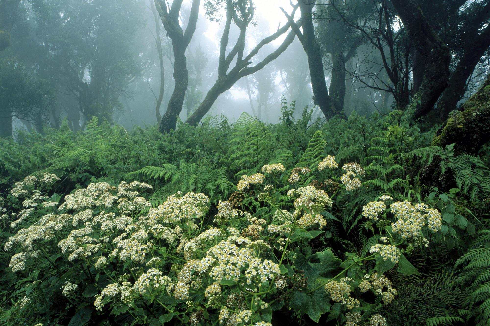 MUHTEŞEM GALERİ-1 19