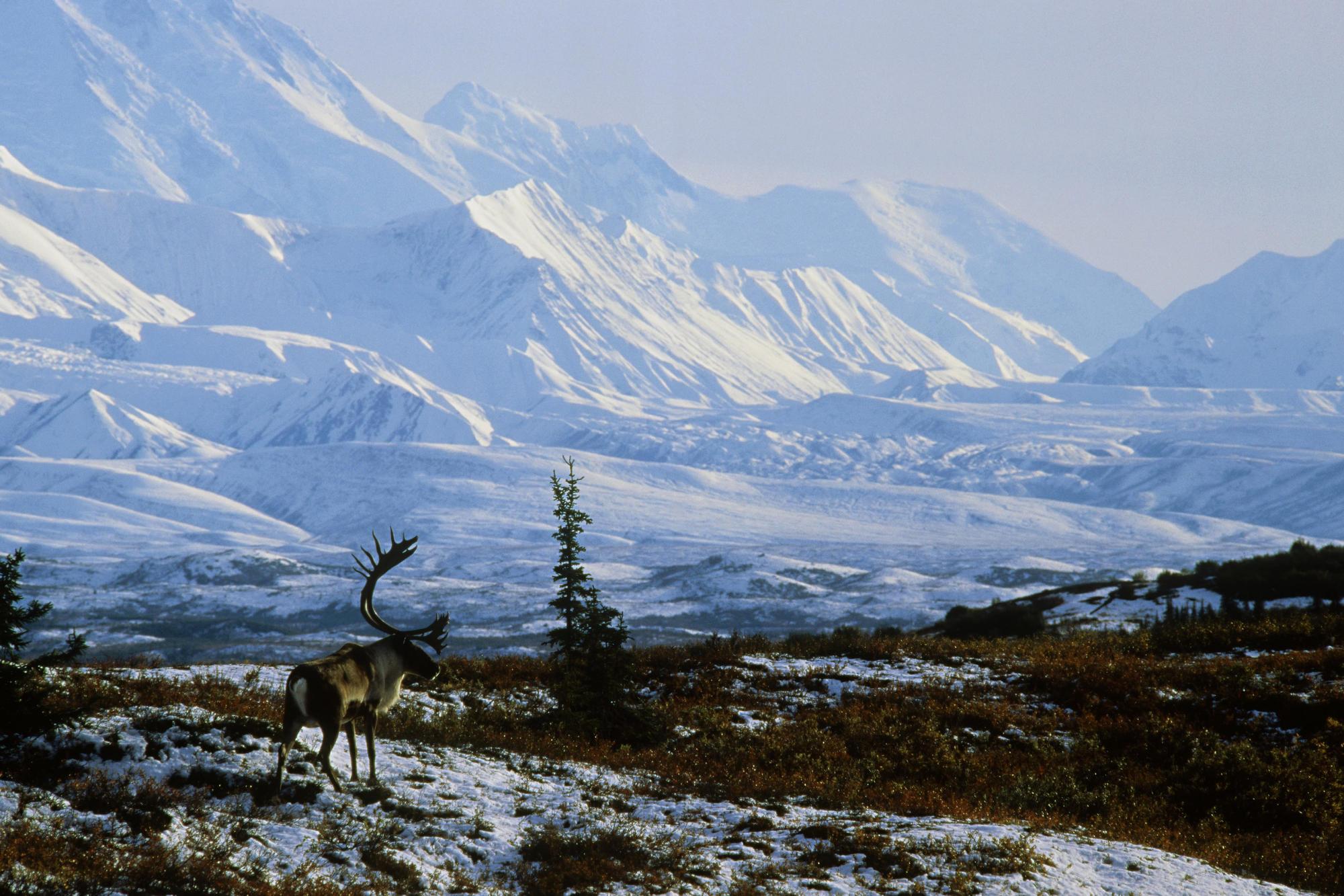 MUHTEŞEM GALERİ-1 27