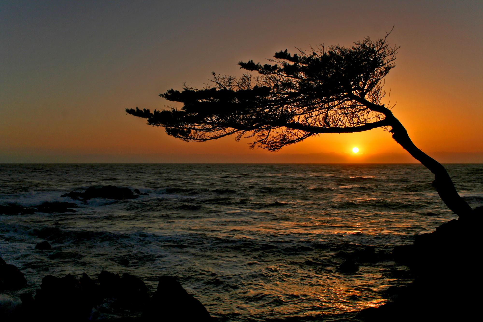 MUHTEŞEM GALERİ-1 28