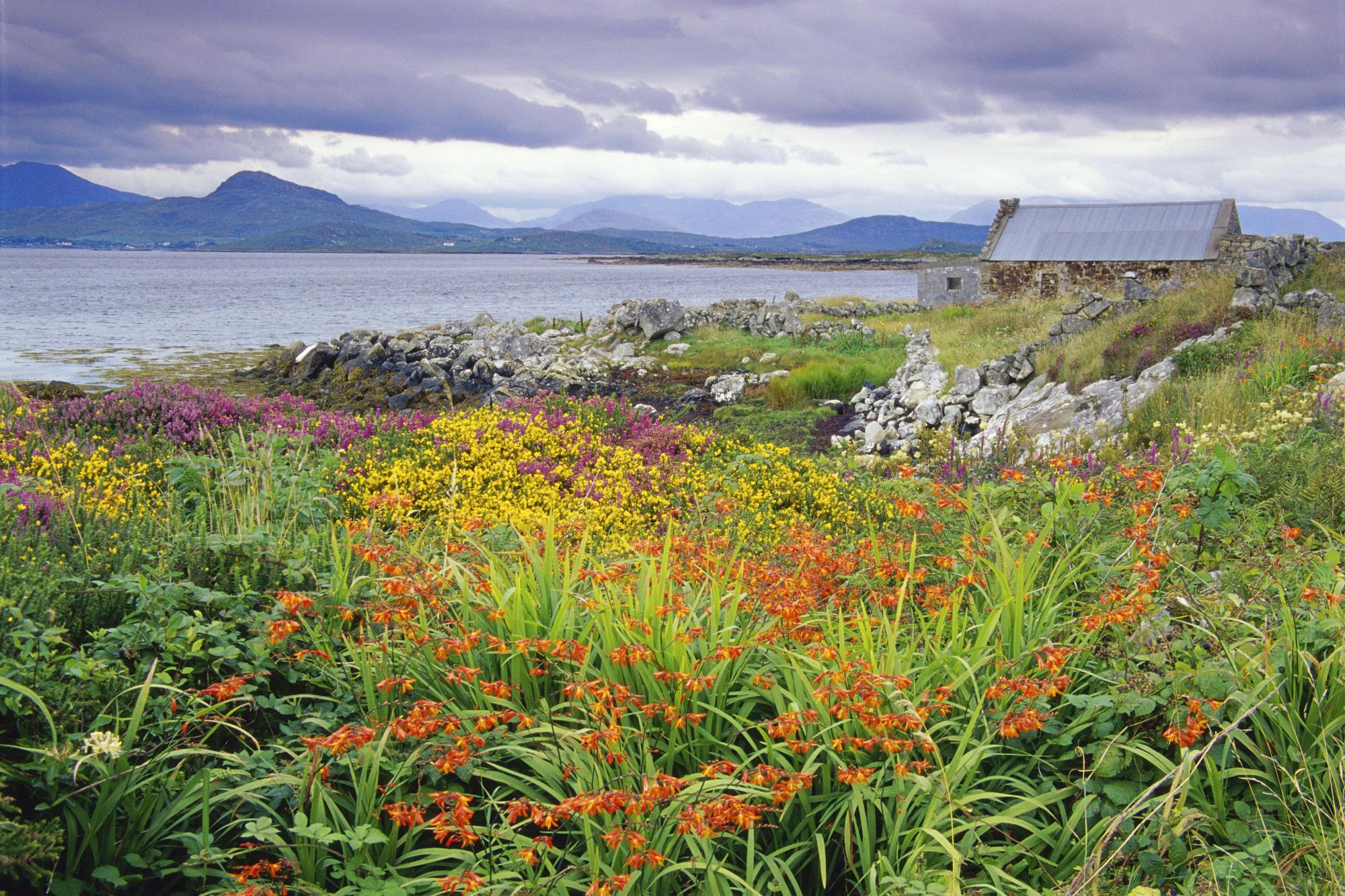 MUHTEŞEM GALERİ-1 29