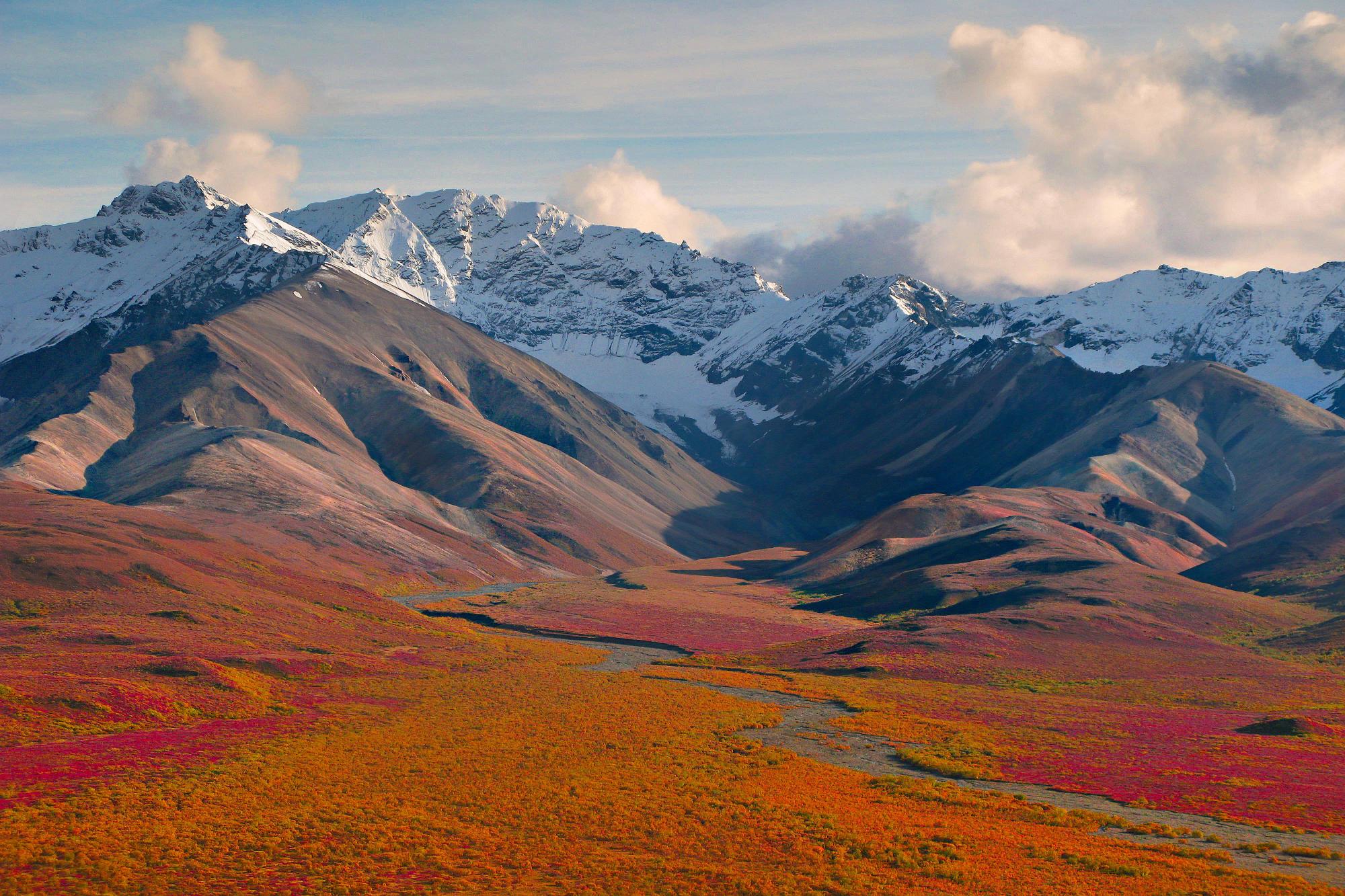 MUHTEŞEM GALERİ-1 3