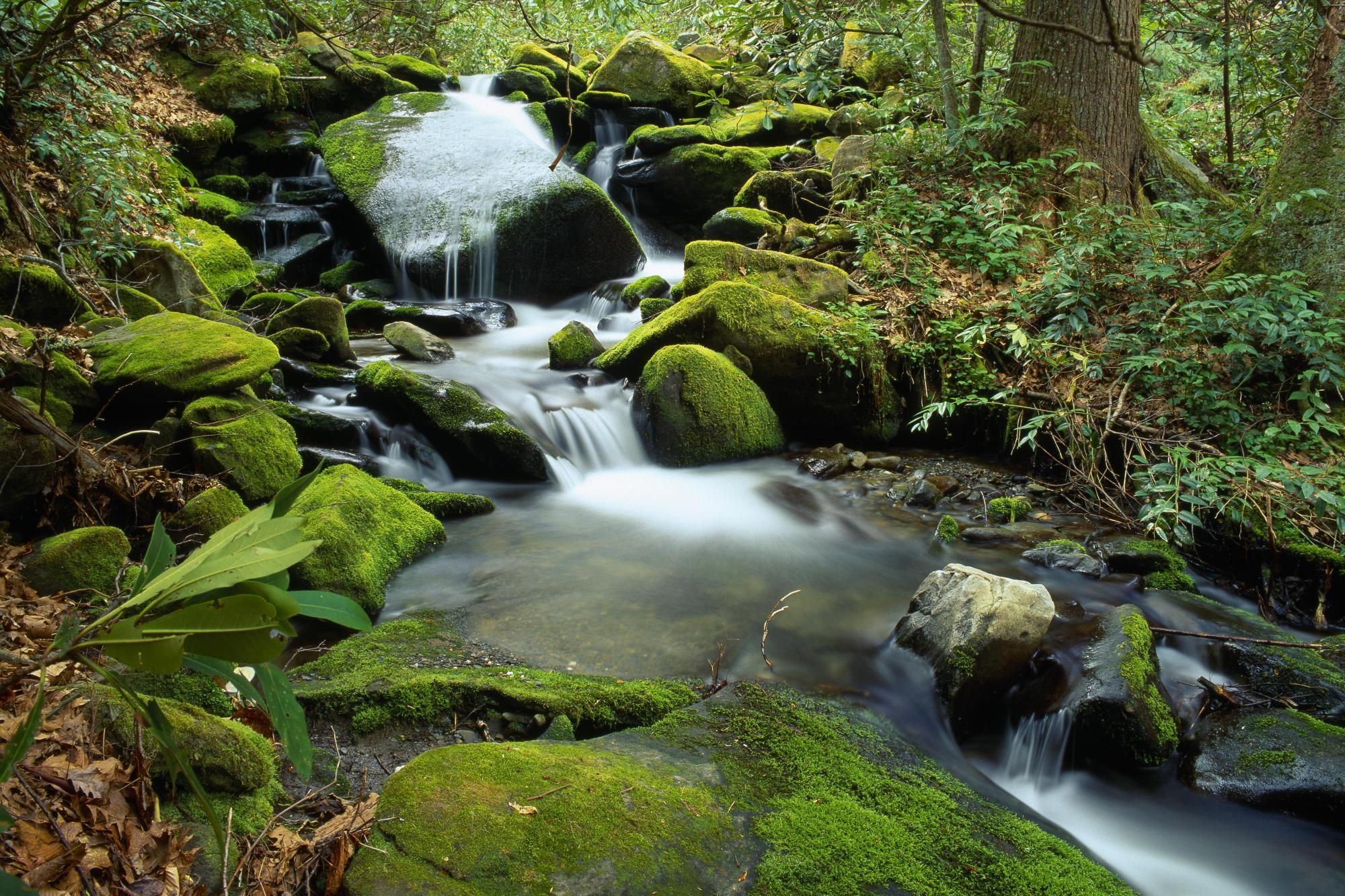 MUHTEŞEM GALERİ-1 31