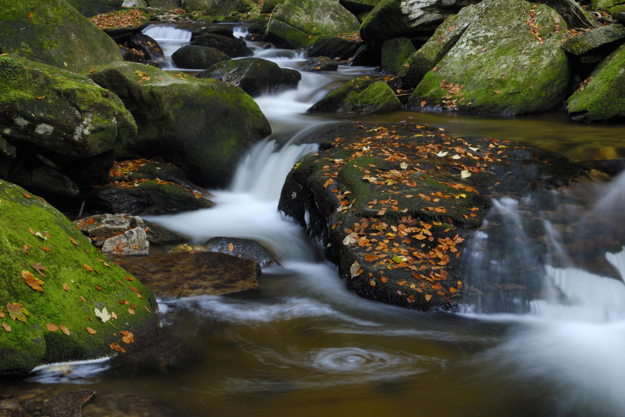 MUHTEŞEM GALERİ-1 34