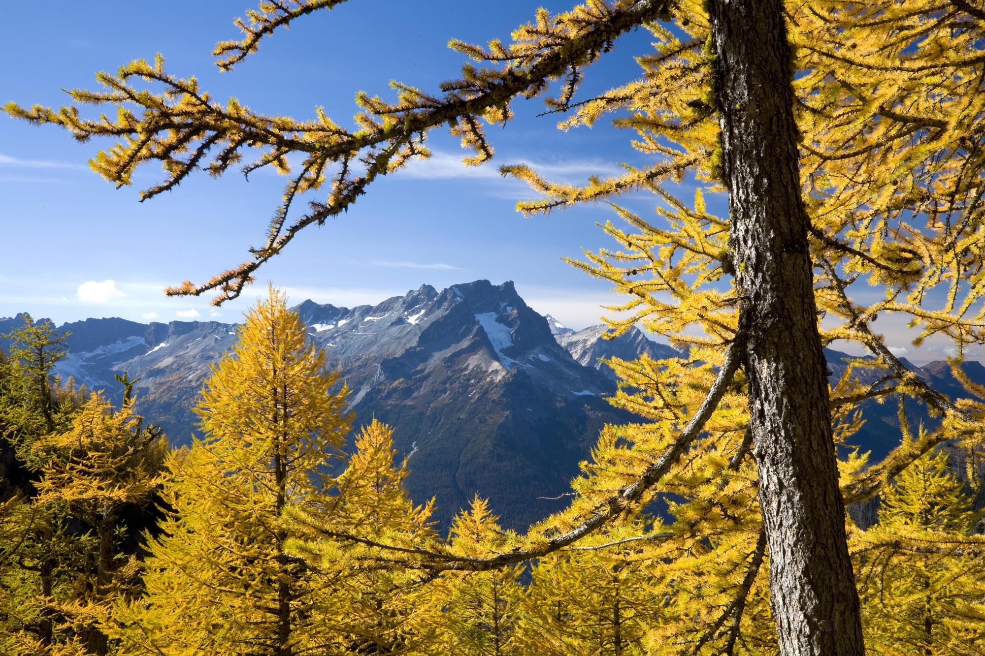 MUHTEŞEM GALERİ-1 48