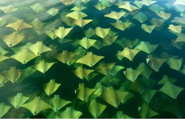 MUHTEŞEM GALERİ-2 12