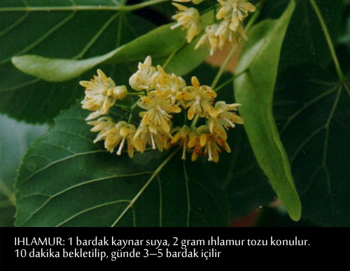 GRİP VE NEZLEYE KARŞI BİRE BİR TARİFLER 10