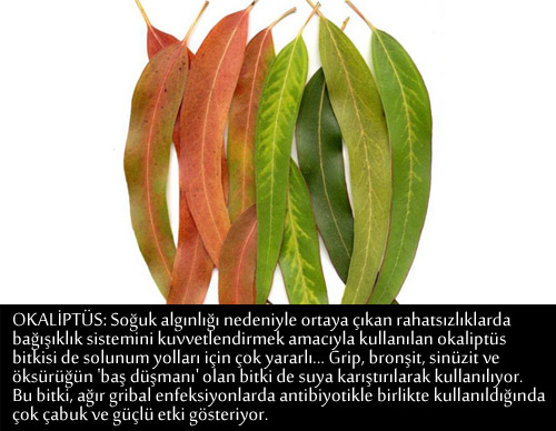 GRİP VE NEZLEYE KARŞI BİRE BİR TARİFLER 11