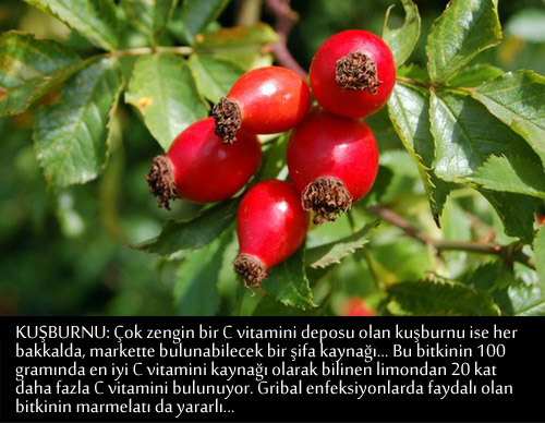 GRİP VE NEZLEYE KARŞI BİRE BİR TARİFLER 13