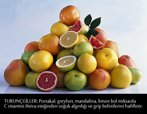 GRİP VE NEZLEYE KARŞI BİRE BİR TARİFLER 14