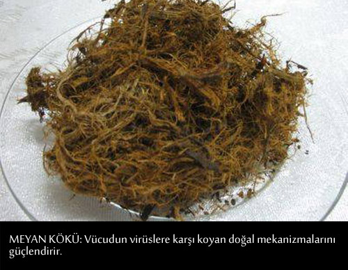 GRİP VE NEZLEYE KARŞI BİRE BİR TARİFLER 15