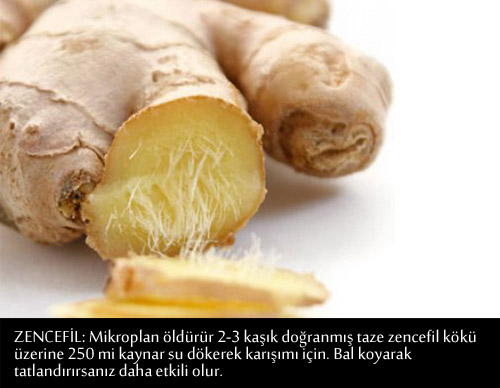 GRİP VE NEZLEYE KARŞI BİRE BİR TARİFLER 17