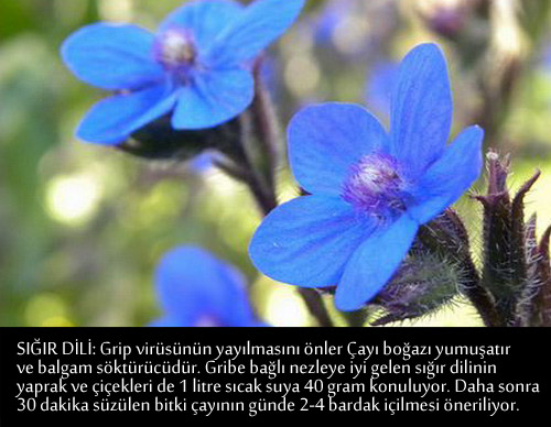 GRİP VE NEZLEYE KARŞI BİRE BİR TARİFLER 18