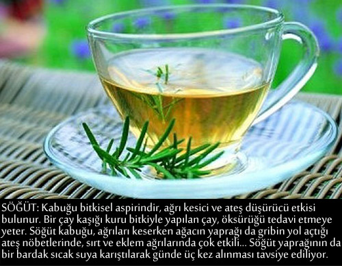 GRİP VE NEZLEYE KARŞI BİRE BİR TARİFLER 19