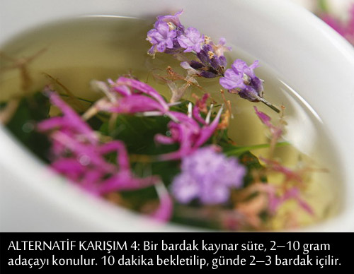 GRİP VE NEZLEYE KARŞI BİRE BİR TARİFLER 2