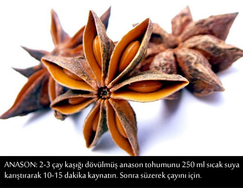 GRİP VE NEZLEYE KARŞI BİRE BİR TARİFLER 20