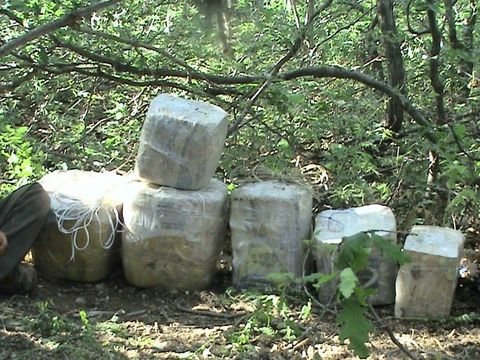 ŞOK EDEN PKK FOTOĞRAFLARI 4