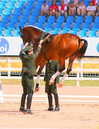 Biraz Gülümsemek İster misiniz? 18