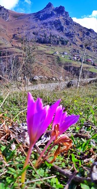 Rize’nin meşhur ilçesi Çamlıhemşin’in en yüksek ve son yaylası olan Kale-i Bala’dan fotoğraf sanatçısı Nuray Bozkurt’un deklanşöründen çıkan şahane kareler 24