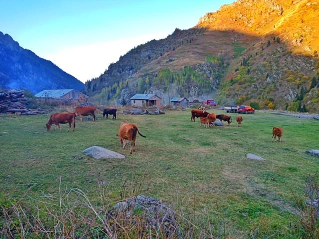 Rize’nin meşhur ilçesi Çamlıhemşin’in en yüksek ve son yaylası olan Kale-i Bala’dan fotoğraf sanatçısı Nuray Bozkurt’un deklanşöründen çıkan şahane kareler 5