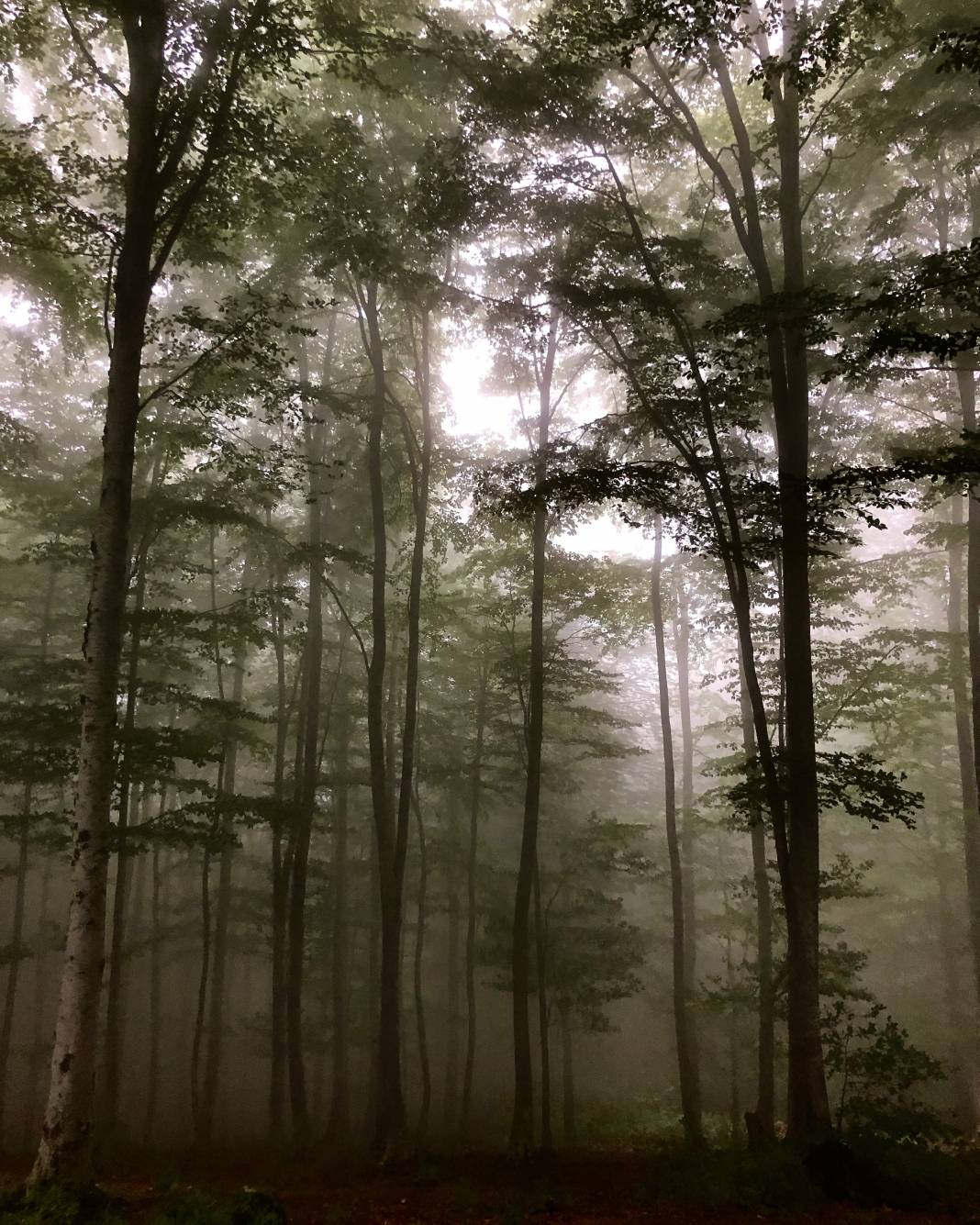 Samsun Fotoğrafları 1, Yazarımız Ünal Sade sizler için bir “Samsun” fotoğraf serisi hazırladı. Devamı gelecek. 16