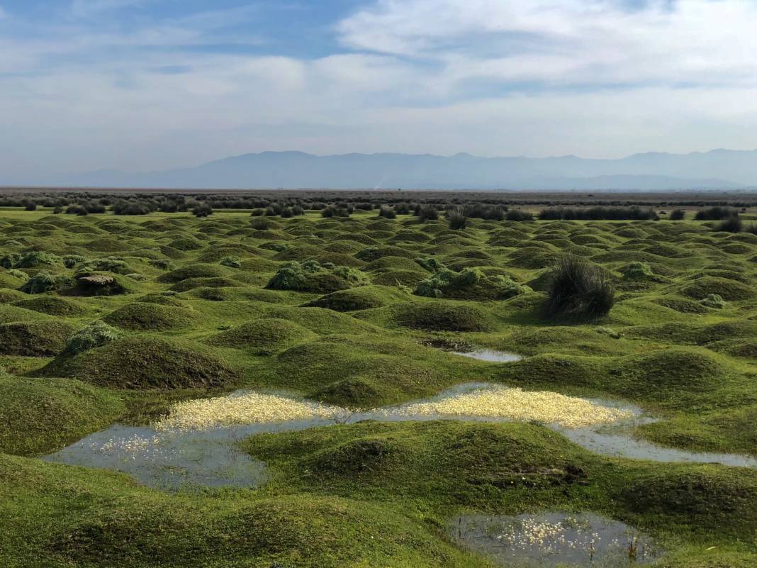 Samsun Fotoğrafları 1, Yazarımız Ünal Sade sizler için bir “Samsun” fotoğraf serisi hazırladı. Devamı gelecek. 17