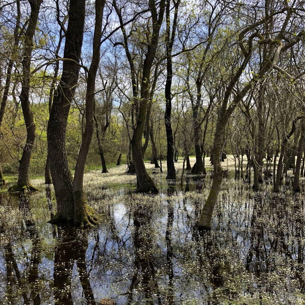 Samsun Fotoğrafları 1, Yazarımız Ünal Sade sizler için bir “Samsun” fotoğraf serisi hazırladı. Devamı gelecek. 21