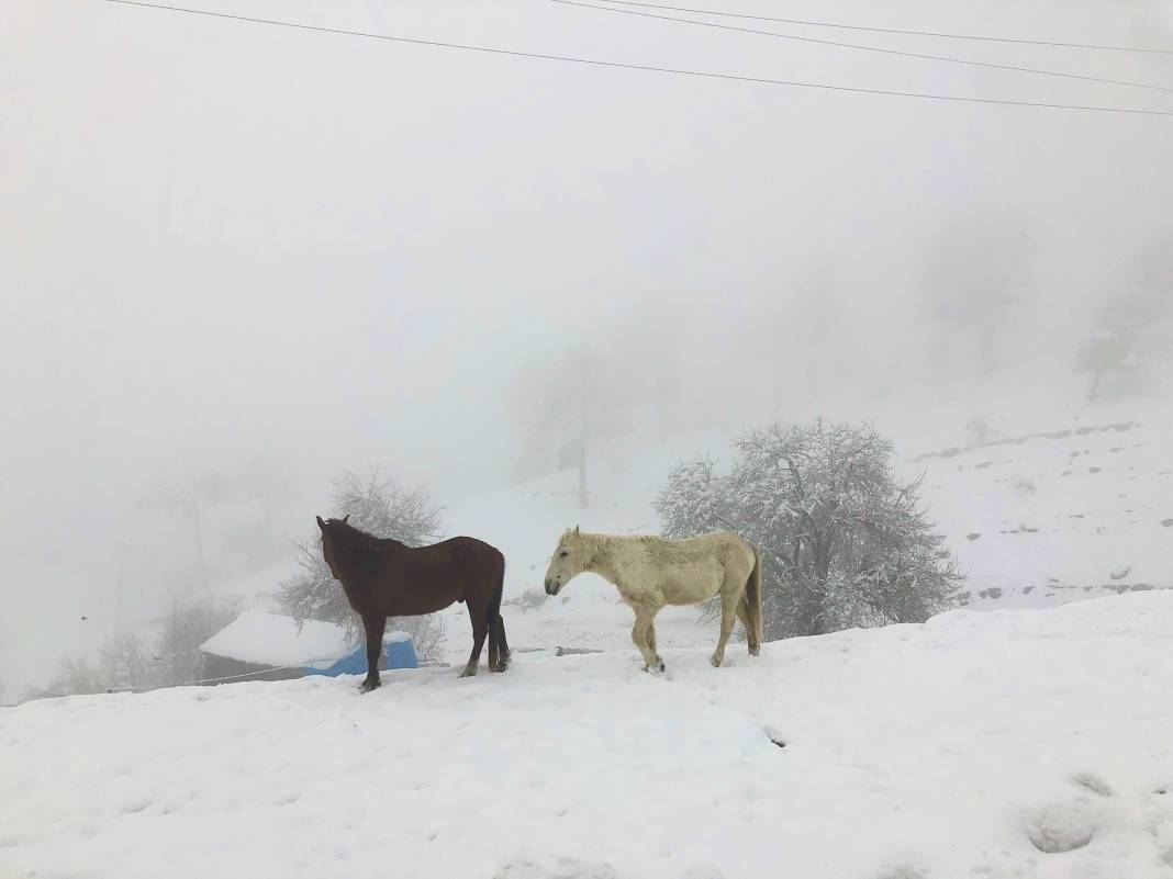 Samsun Fotoğrafları 2,  Yazarımız Ünal Sade’nin sizler için hazırladığı  “Samsun” fotoğrafları serisi devam ediyor… 14