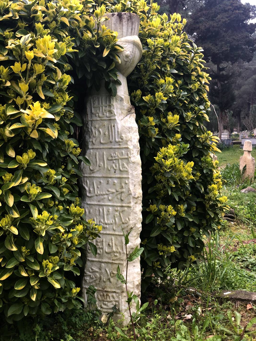 Samsun Fotoğrafları 2,  Yazarımız Ünal Sade’nin sizler için hazırladığı  “Samsun” fotoğrafları serisi devam ediyor… 22