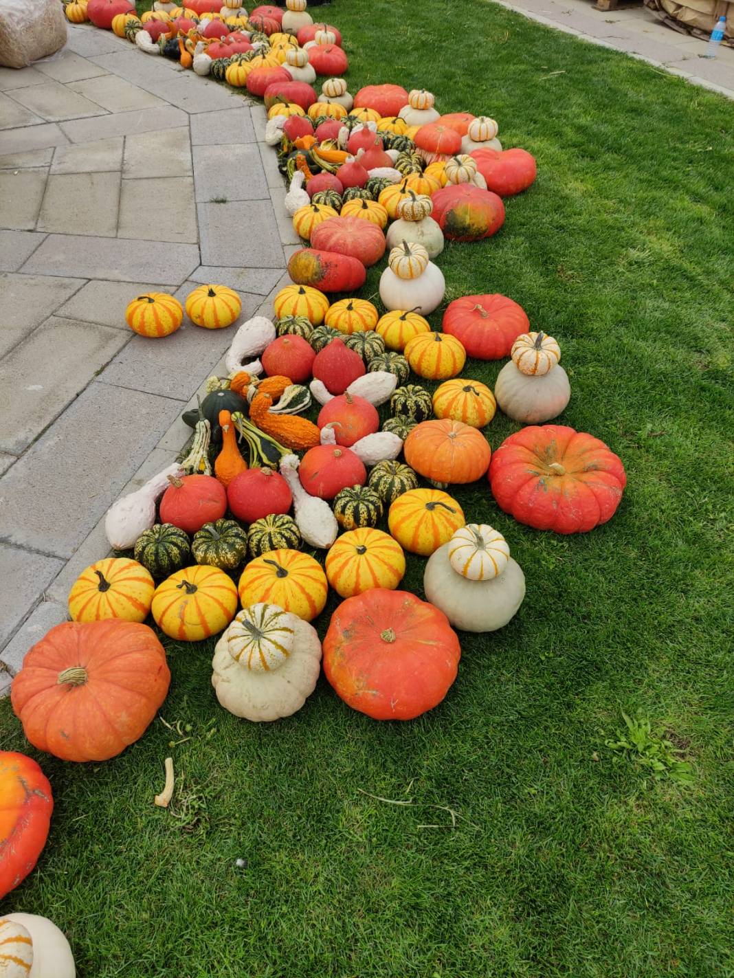 Konya GASTROFEST'ten enstantaneler. Resimler: Emircan Güneş, Ali Alkış. 14
