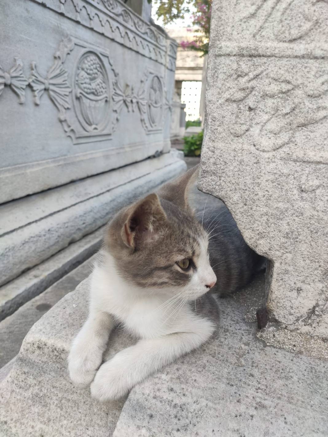 Sitemiz yazarı Teslime Gülsen Nurdoğan'ın deklanşöründen İstanbul fotoğrafları. 16