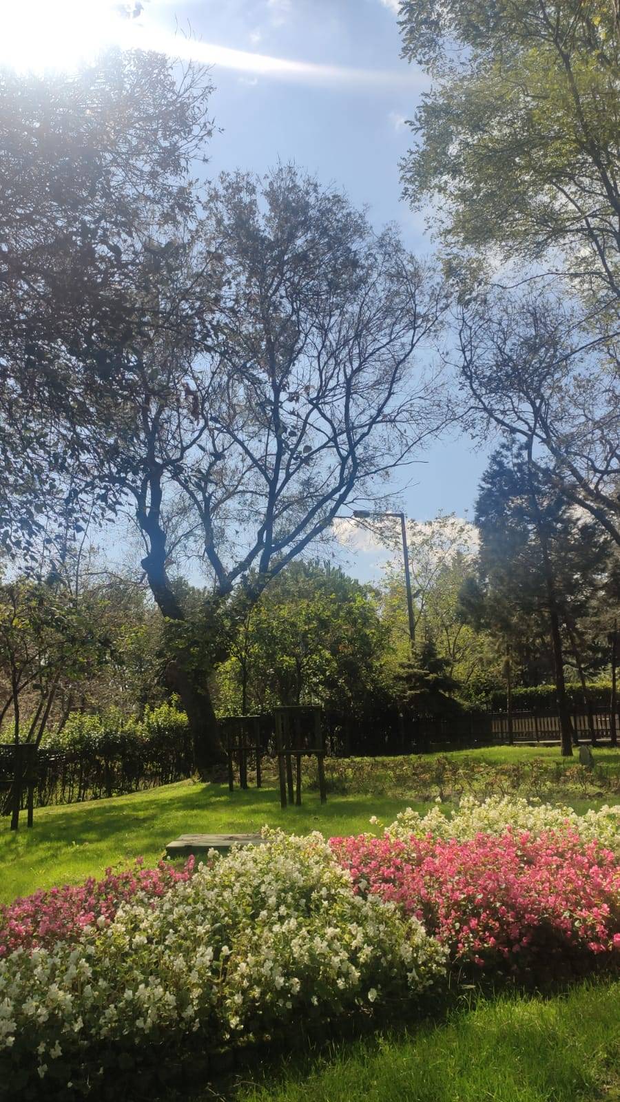 Sitemiz yazarı Teslime Gülsen Nurdoğan'ın deklanşöründen İstanbul fotoğrafları. 18