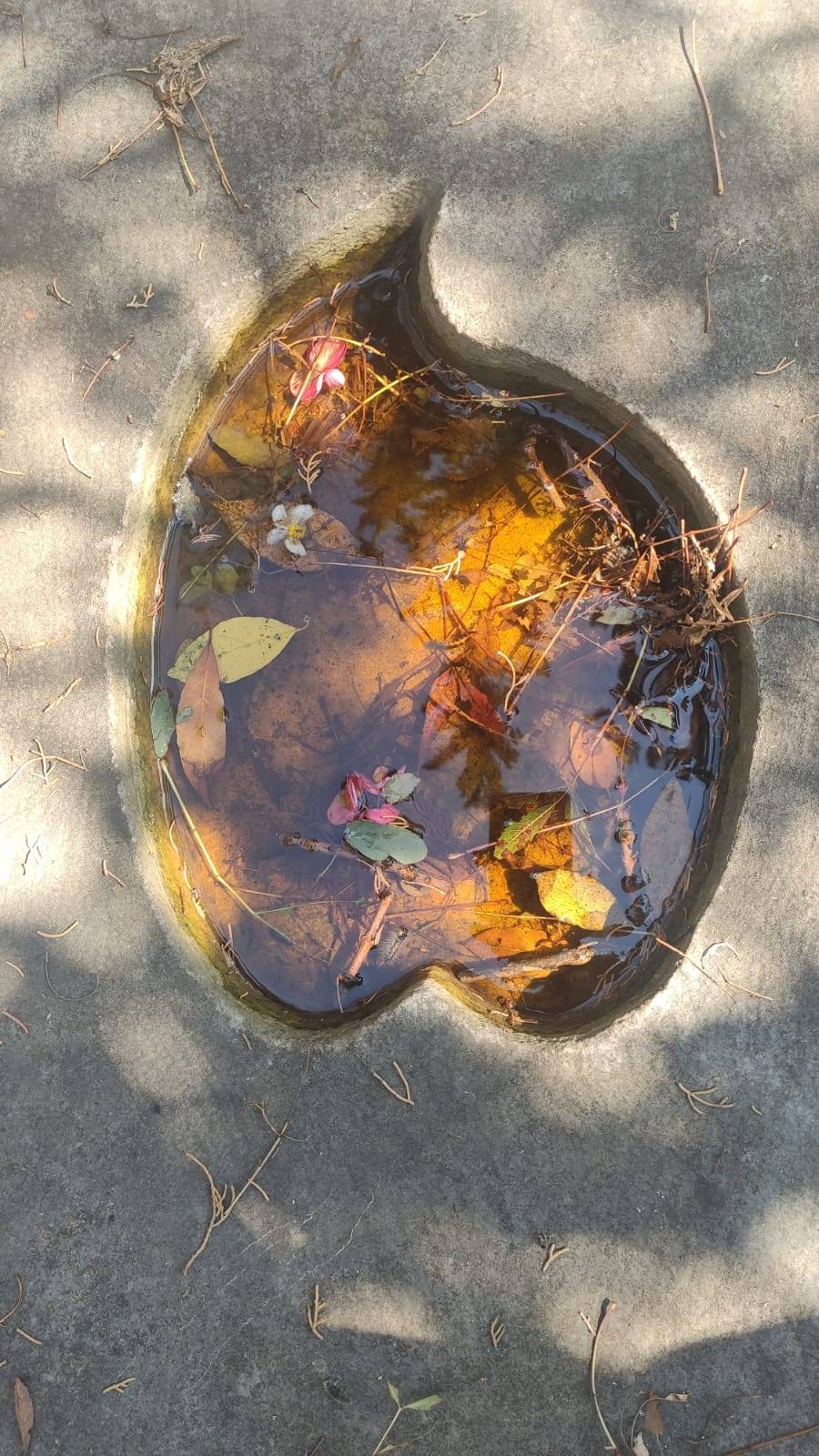 Sitemiz yazarı Teslime Gülsen Nurdoğan'ın deklanşöründen İstanbul fotoğrafları. 20