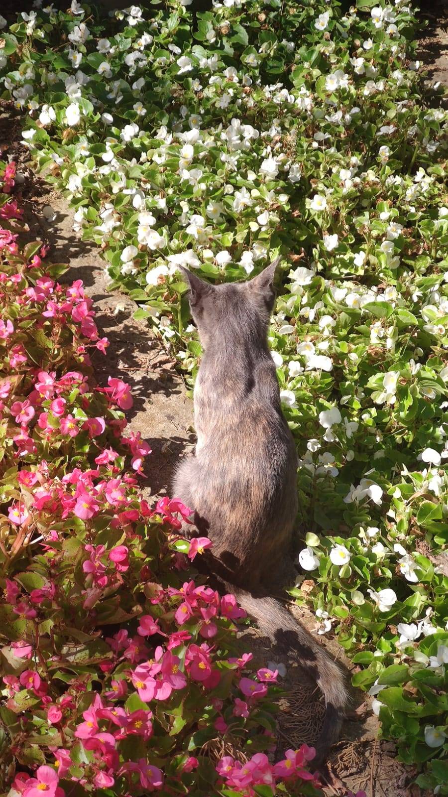 Sitemiz yazarı Teslime Gülsen Nurdoğan'ın deklanşöründen İstanbul fotoğrafları. 3