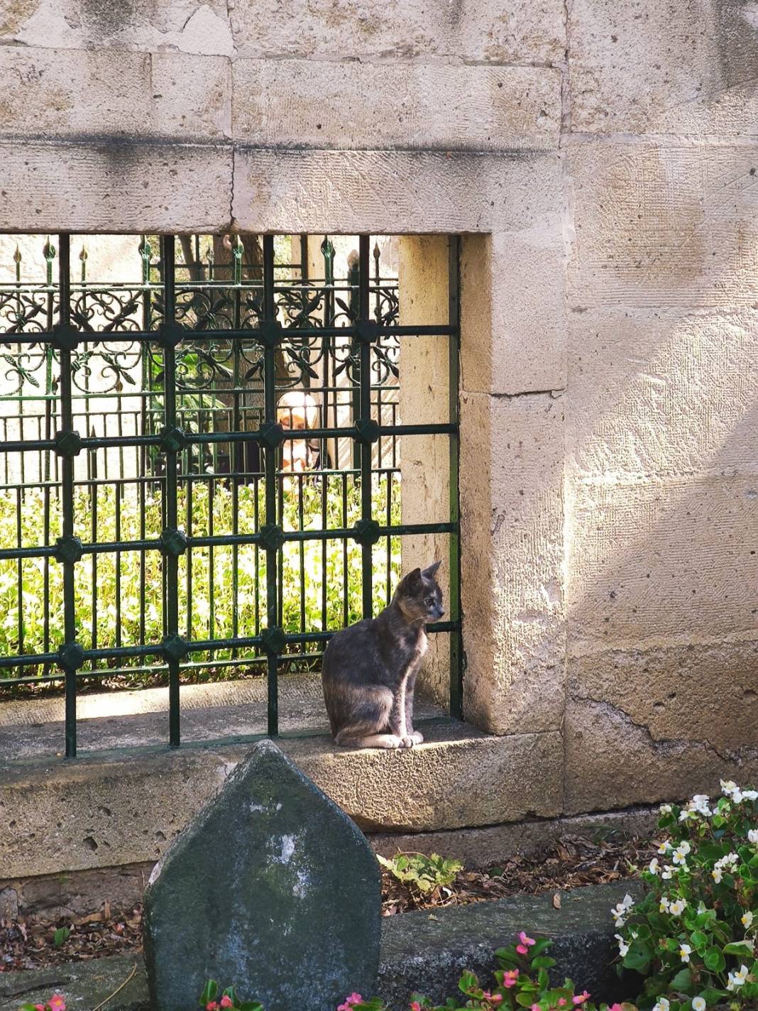 Sitemiz yazarı Teslime Gülsen Nurdoğan'ın deklanşöründen İstanbul fotoğrafları. 5