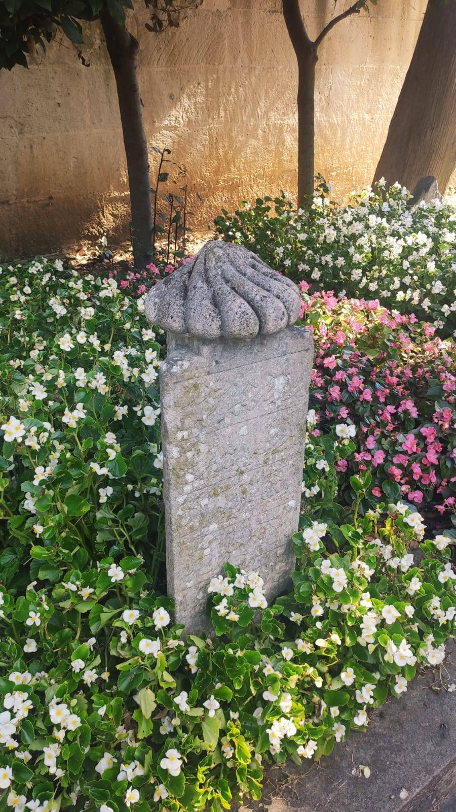 Sitemiz yazarı Teslime Gülsen Nurdoğan'ın deklanşöründen İstanbul fotoğrafları. 6
