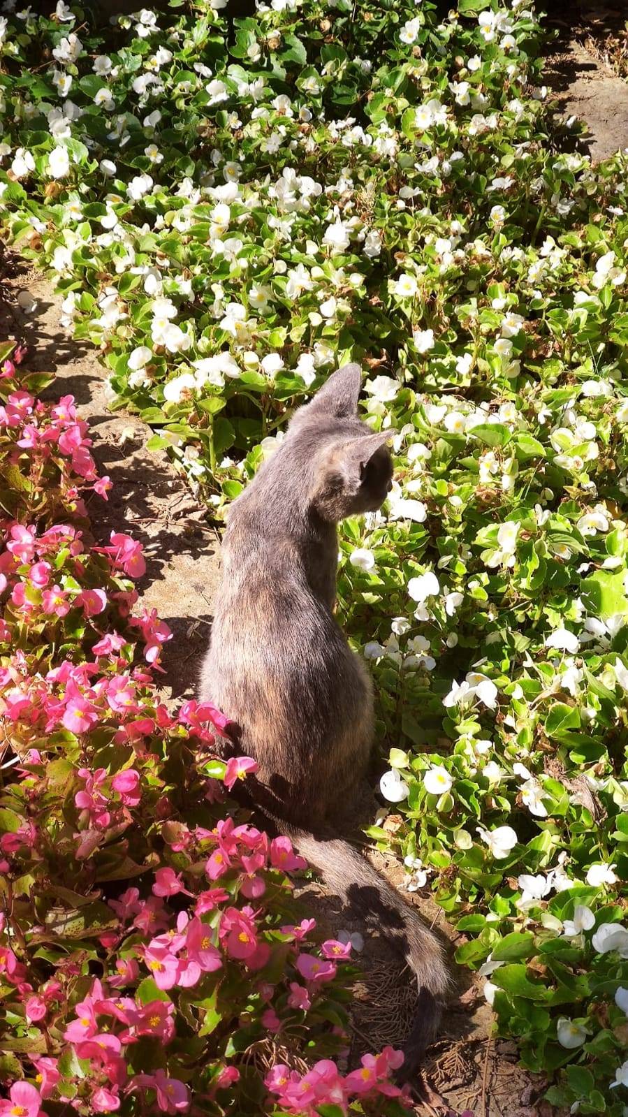Sitemiz yazarı Teslime Gülsen Nurdoğan'ın deklanşöründen İstanbul fotoğrafları. 7