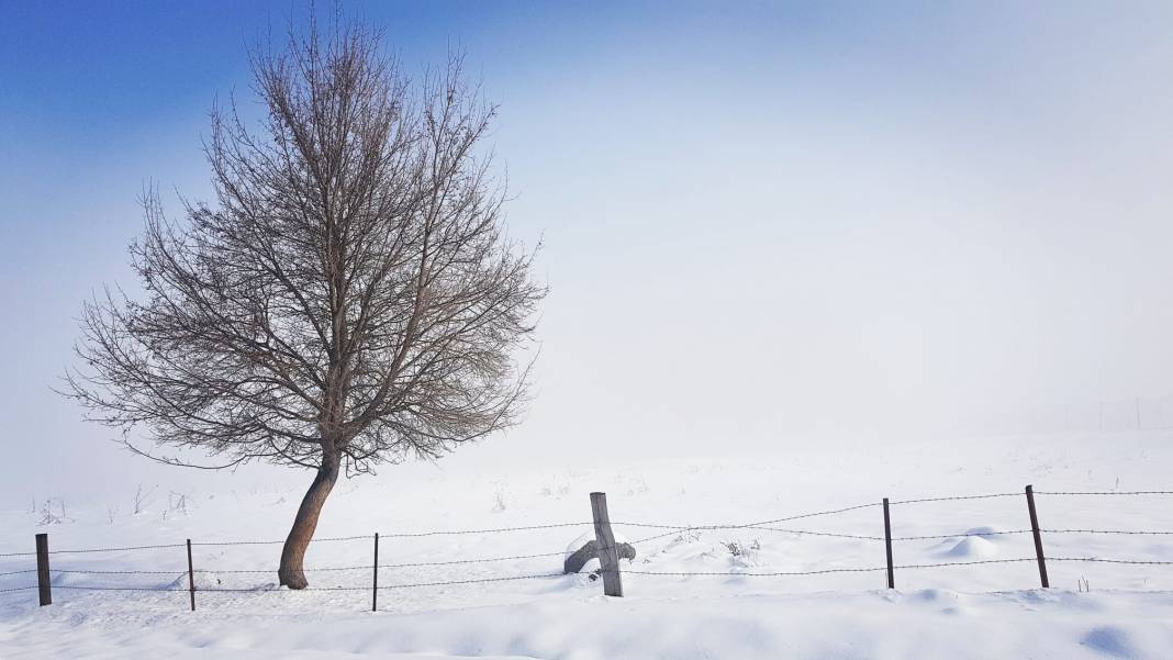 Arda Erçetin’in objektifinden muhteşem Gölcük kış manzaraları 12