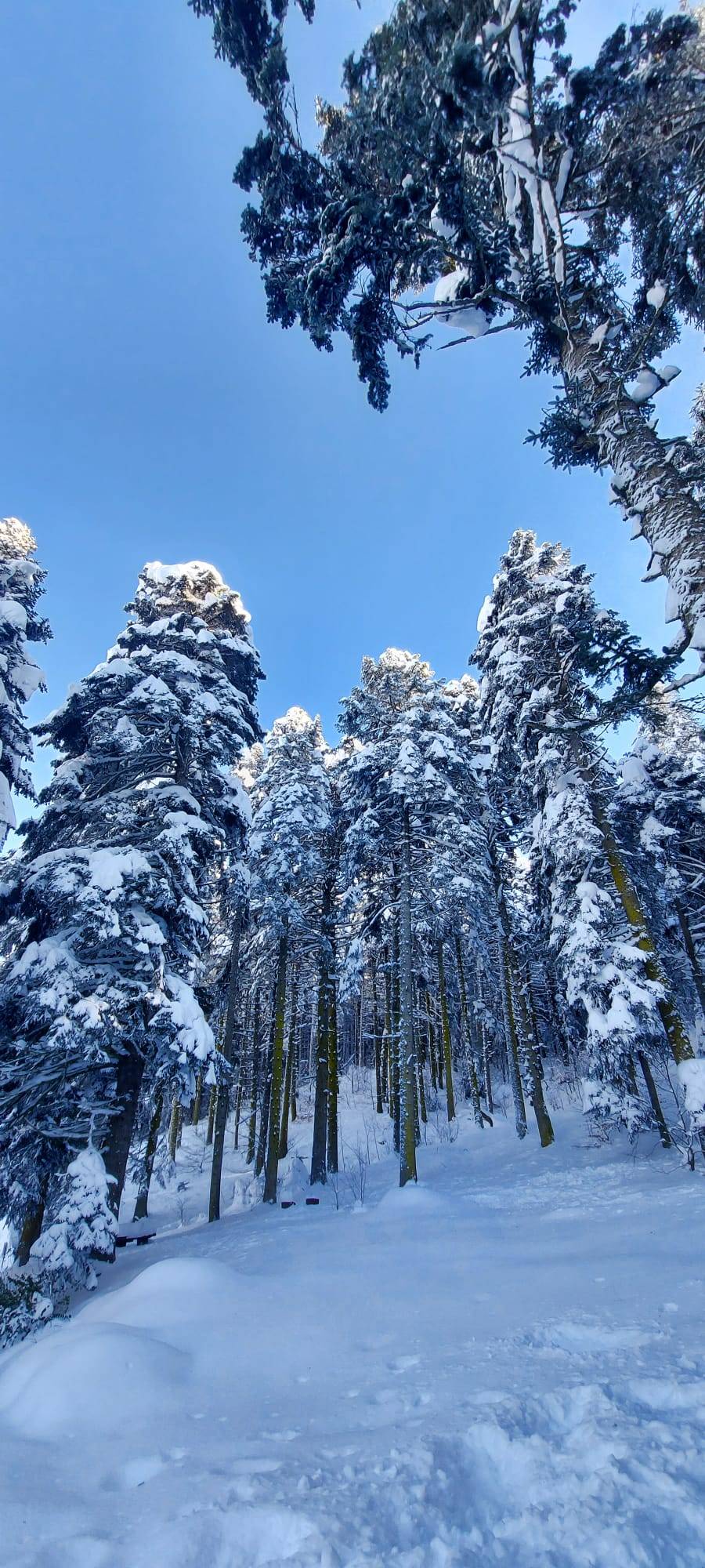 Arda Erçetin’in objektifinden muhteşem Gölcük kış manzaraları 7