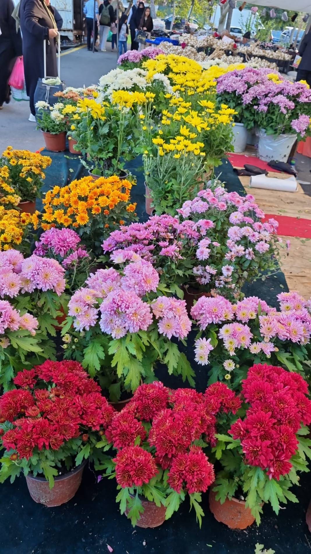 İstanbul’un en güzel pazarı hangi ilçede? Bu muhteşem görüntüler sizce İstanbul’un hangi ilçesinde? FOTOĞRAFLAR: Ü. Ahsen Kaplan 15