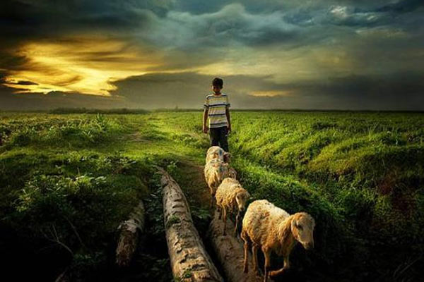 En Güzel Resimler 2