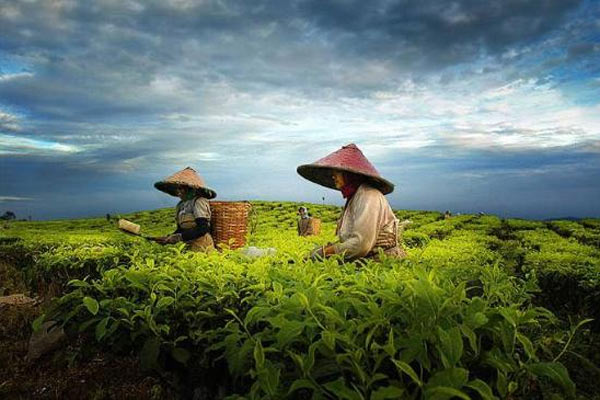 En Güzel Resimler 5