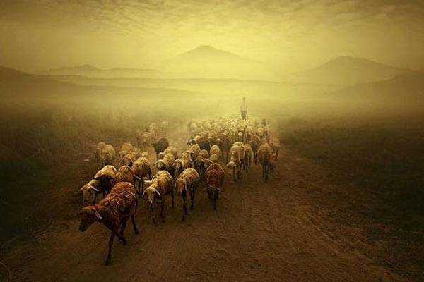 En Güzel Resimler 8