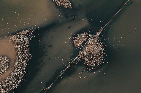 Sigara İçerken Bir Daha Düşünün 12