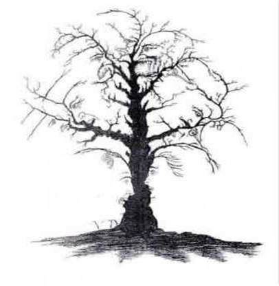 MUHTEŞEM GİZLİ RESİMLER 1