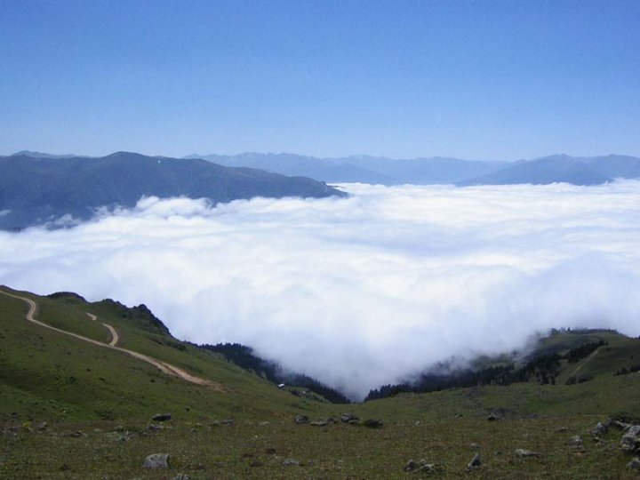 Biz Rize'yi Size Getirdik 12